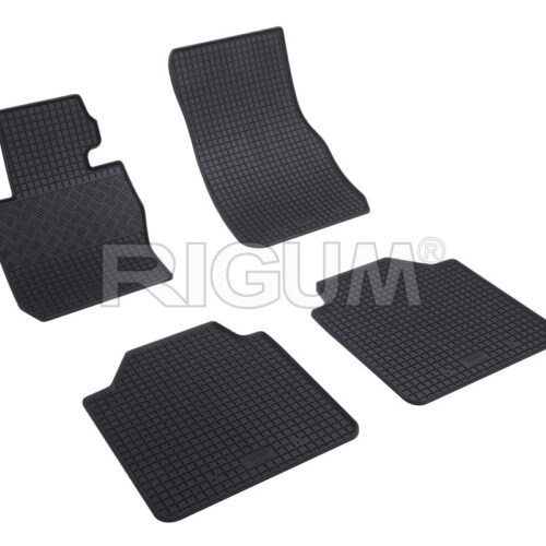 RIGUM kabinske patosnice za BMW 3 (F34) GT (13- )